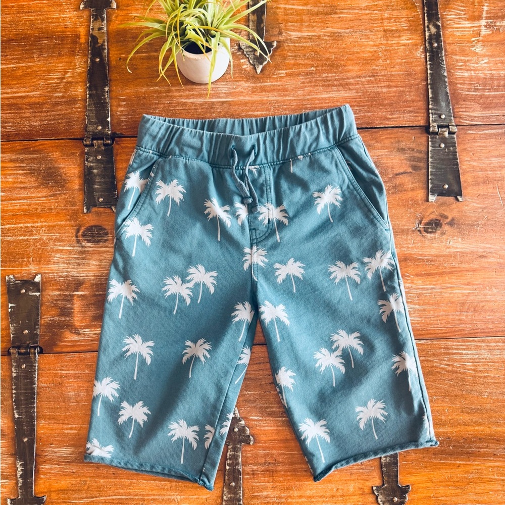 Kids Teal Palm Tree Shorts